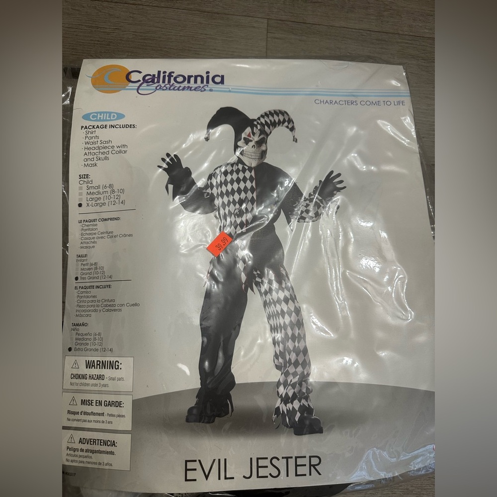 Boys Jester costume